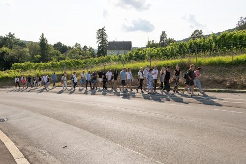 Mcoe weinwandern2024 KP5 5706 WEB